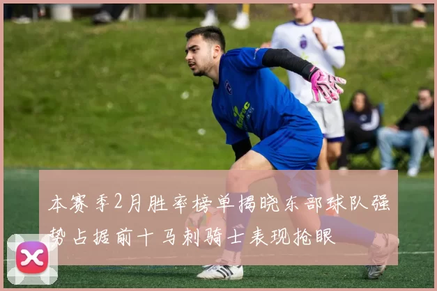 本赛季2月胜率榜单揭晓东部球队强势占据前十马刺骑士表现抢眼